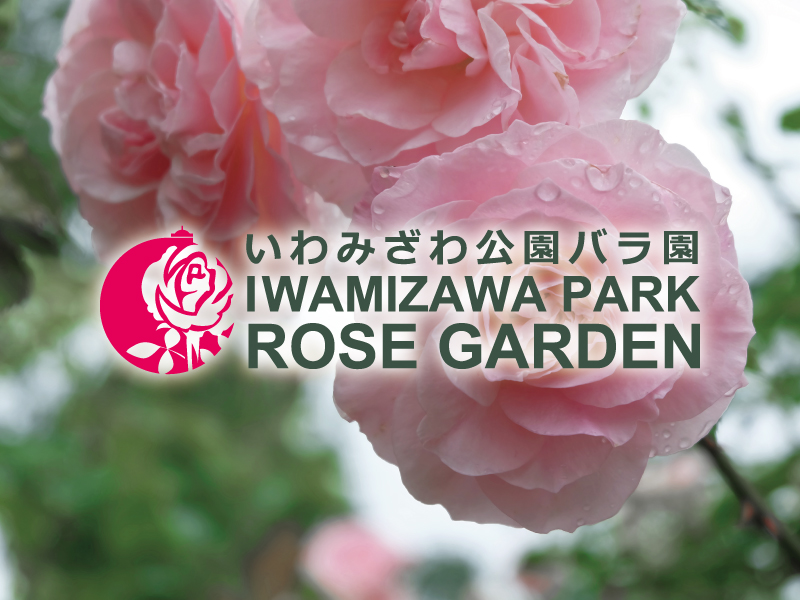 いわみざわ公園 いわみざわ公園は 北海道岩見沢市の南東部の丘陵地帯にあり 約1ヘクタールの広さを持つ大規模都市公園です