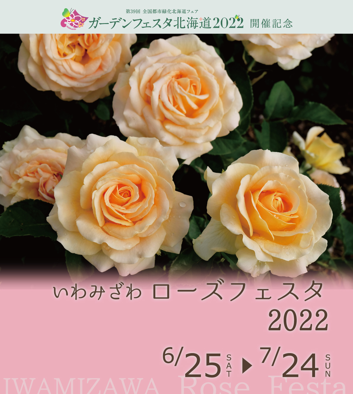 いわみざわローズフェスタ22 バラ園